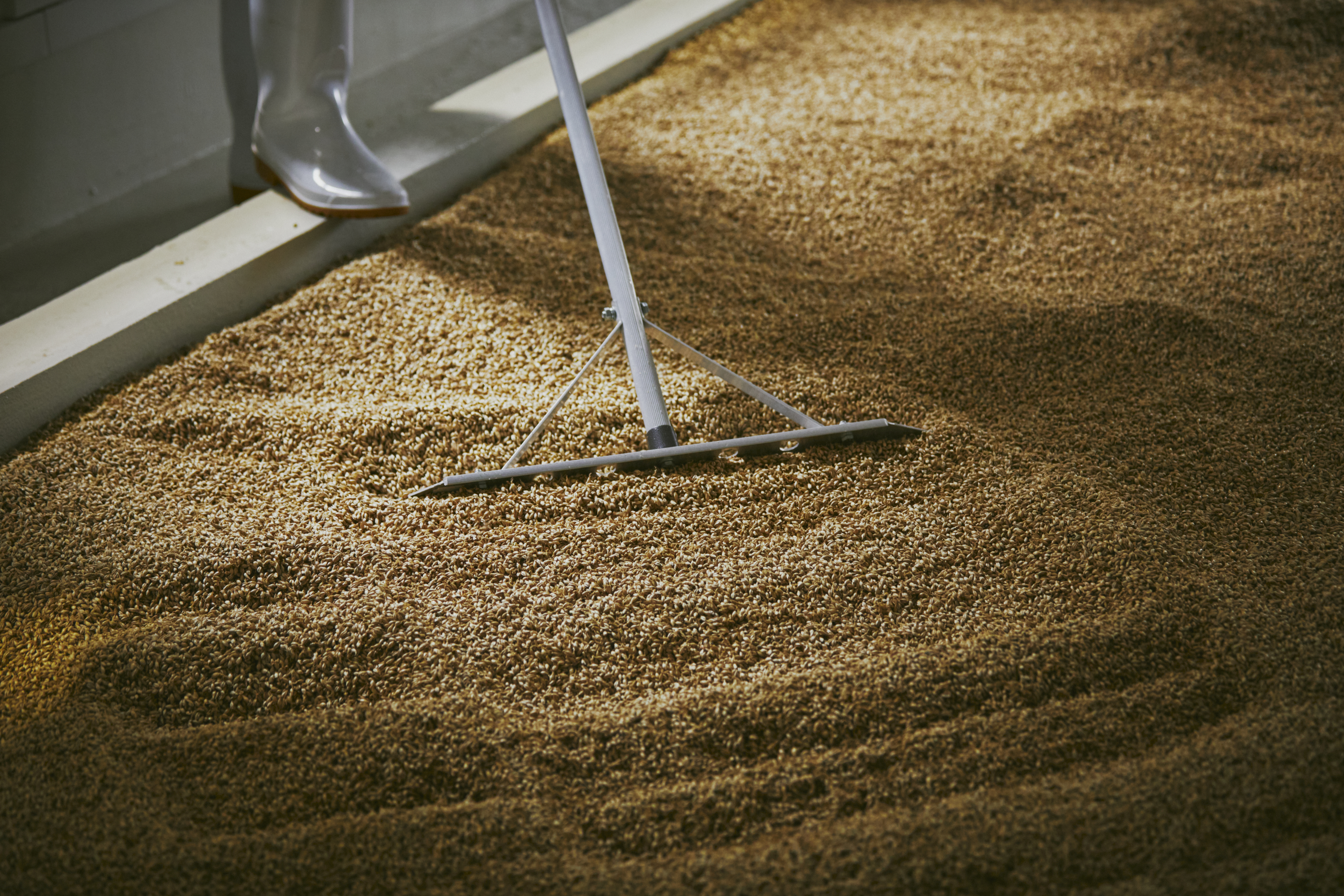 Malting