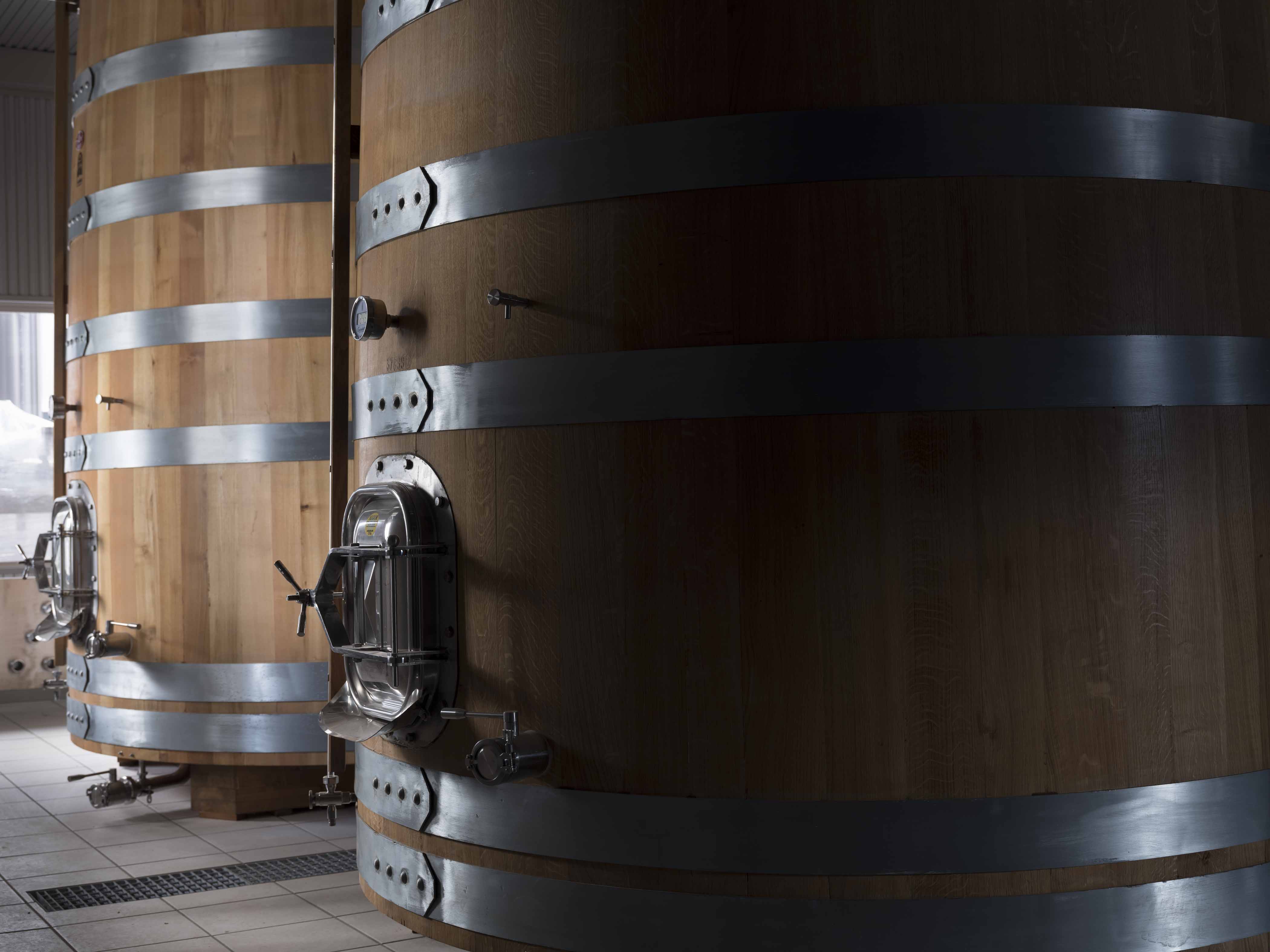 Fermentation